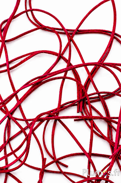 Lanière en croûte de cuir - épaisseur 2 mm - rouge